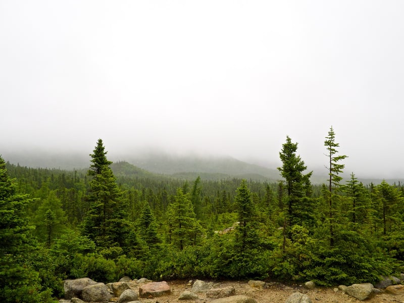 Mount Katahdin photo P7260008.jpg