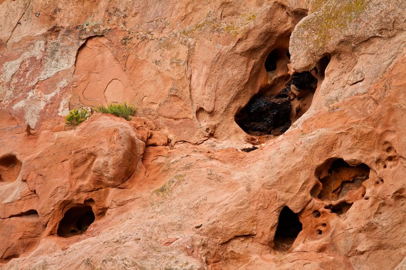 Evidence of animals in the Garden of the Gods.